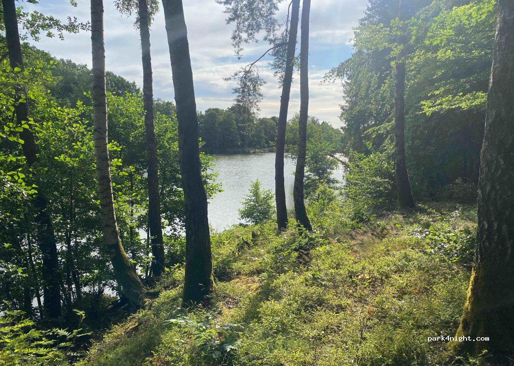 (91486) Uehlfeld - Unnamed Road — foto 3