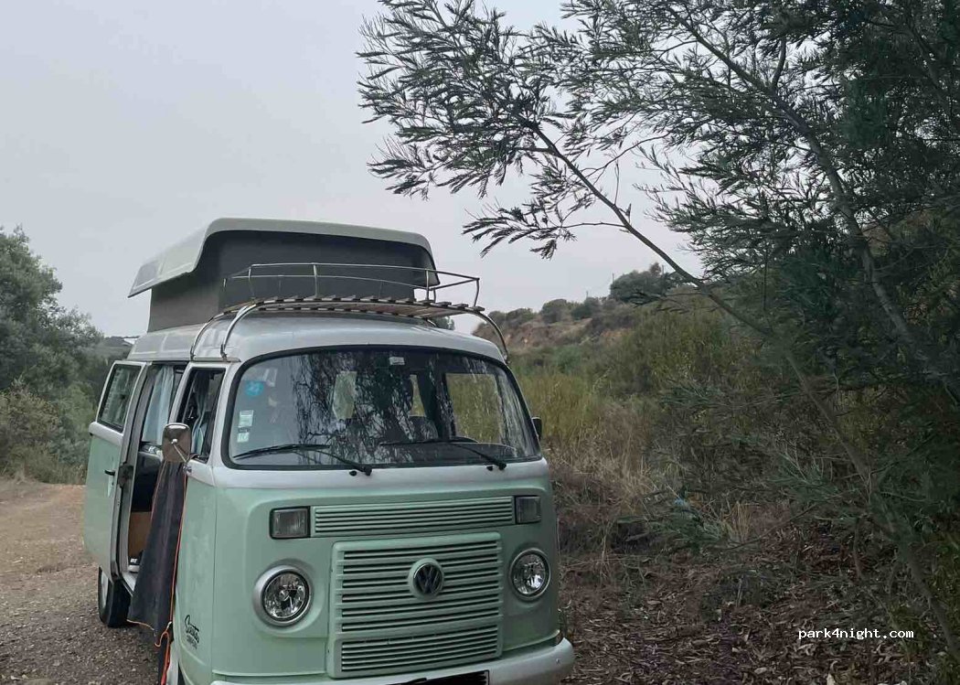 (8300-037) Silves - — foto