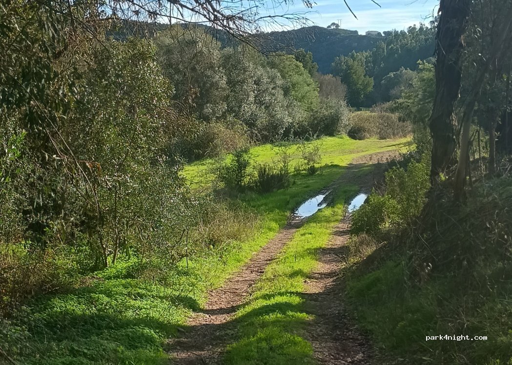 (8300-037) Silves - — foto 3
