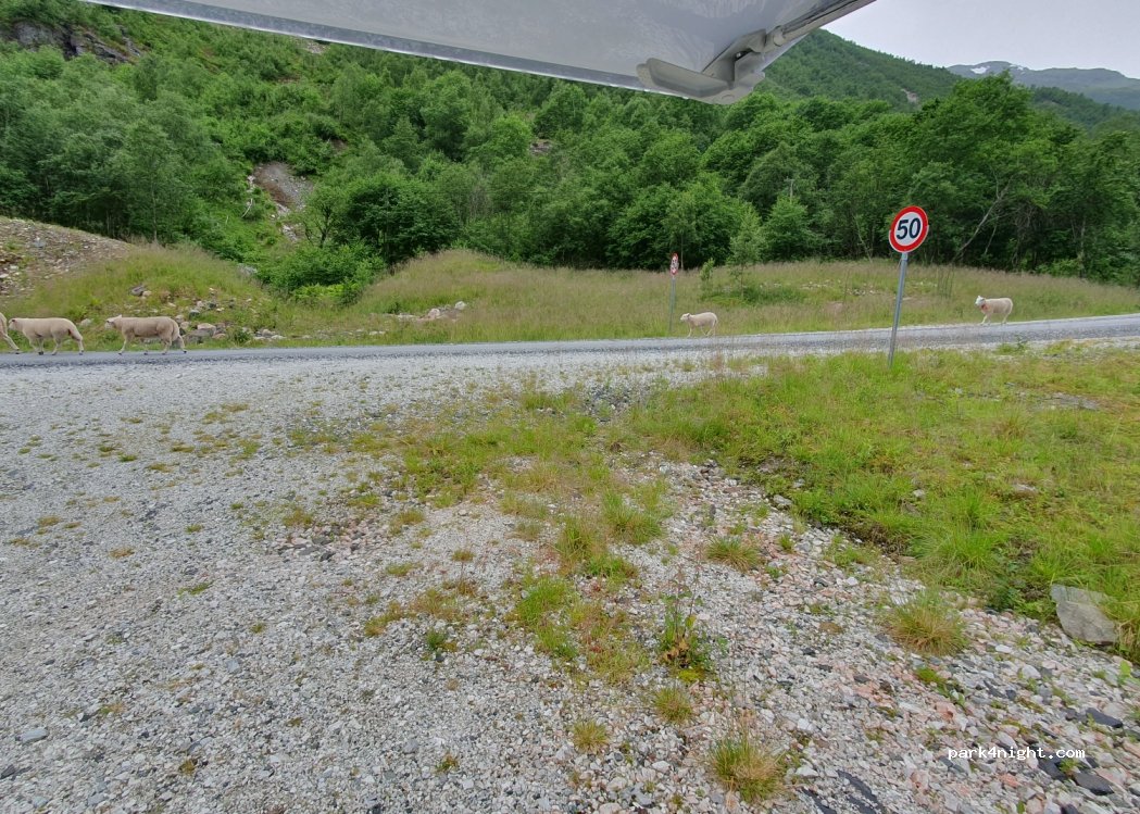 (5713) Jordalen - — foto