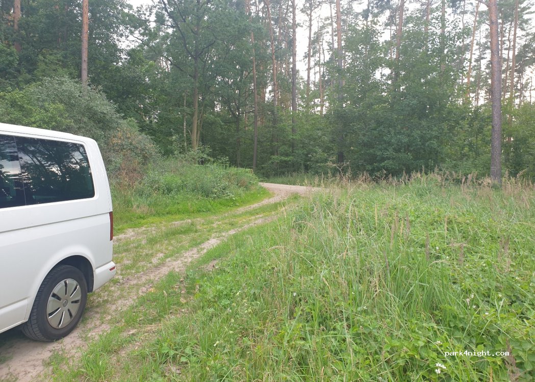 (16244) Schorfheide - — foto