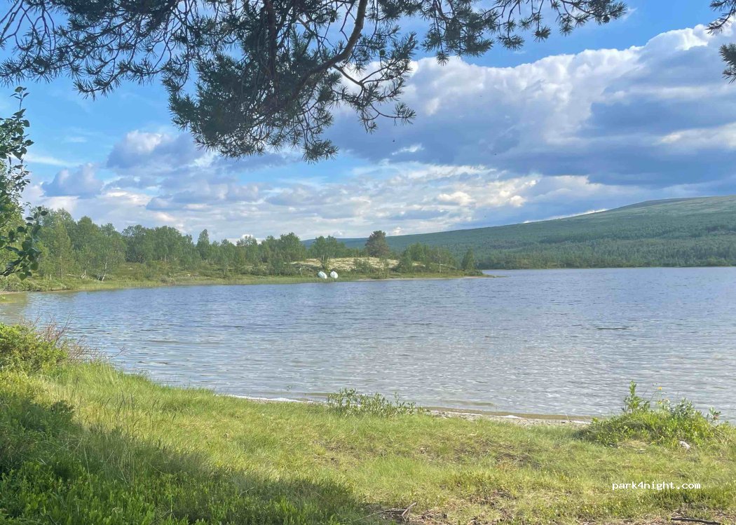 (2540) Tolga - 1059 Hodalsveien — foto 2