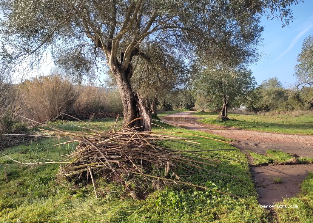 (8100) Loulé - 39A Rua dos Cesteiros — foto 4