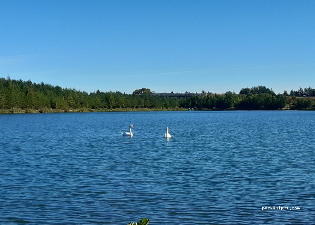 (059 21) Svit - — foto 4