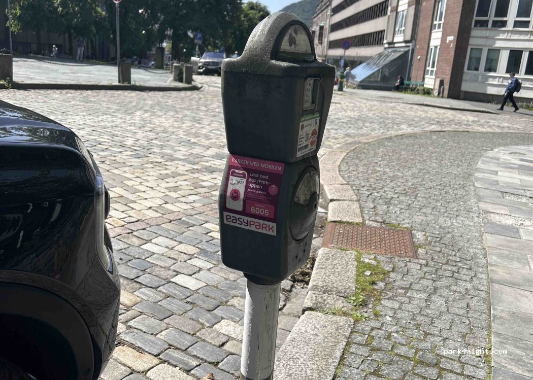 (5003) Bergen - 36 Dreggsallmenningen — foto