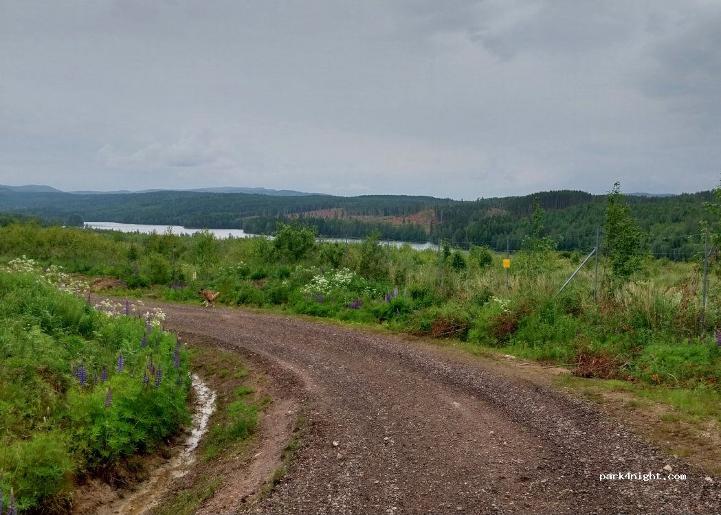(685 92) Torsby - 9 Nottjärnsvägen — foto 4