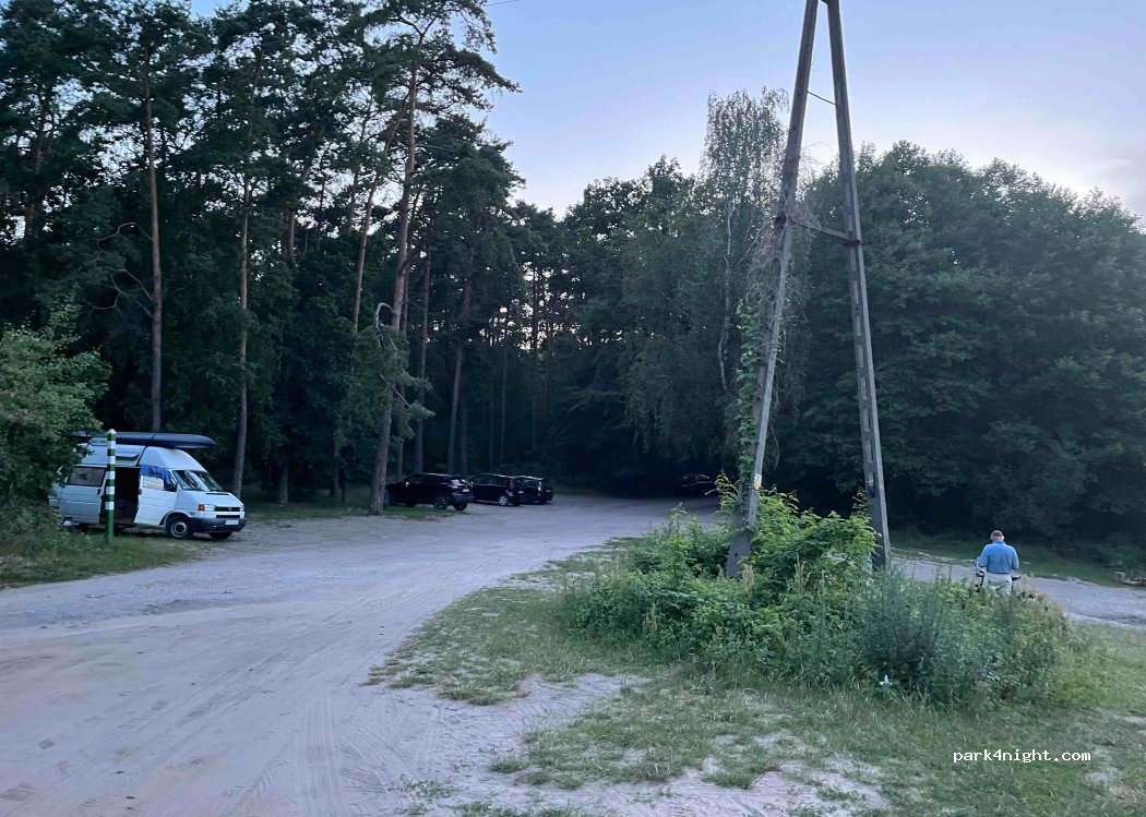 (86-022) Borówno - 36 Słoneczna — foto