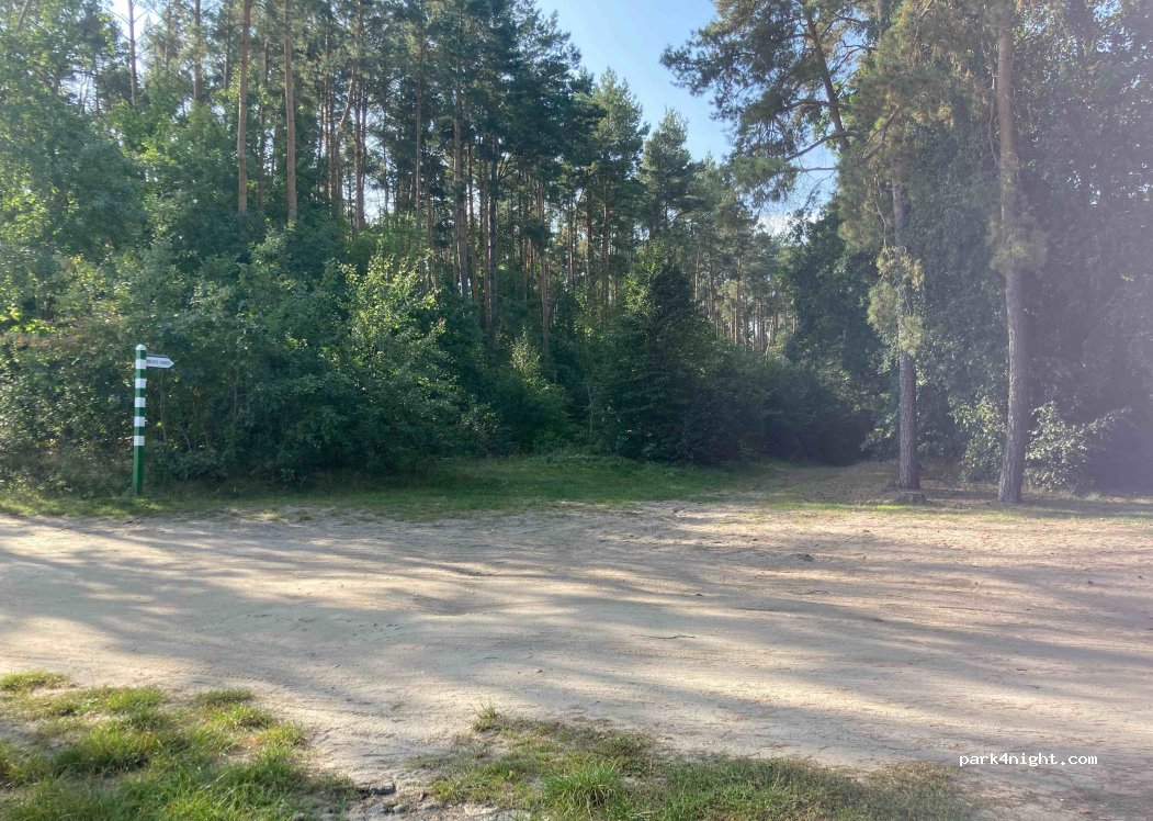 (86-022) Borówno - 36 Słoneczna — foto 2