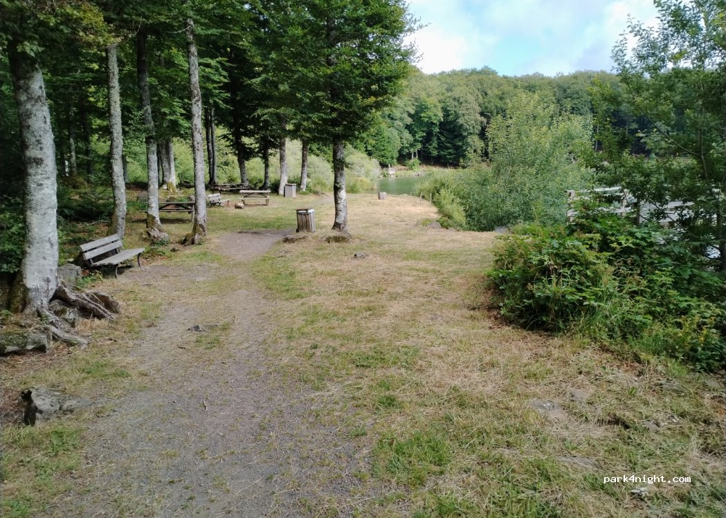 (63113) Picherande - 265 Chemin des Hauts de Picherande — foto 3