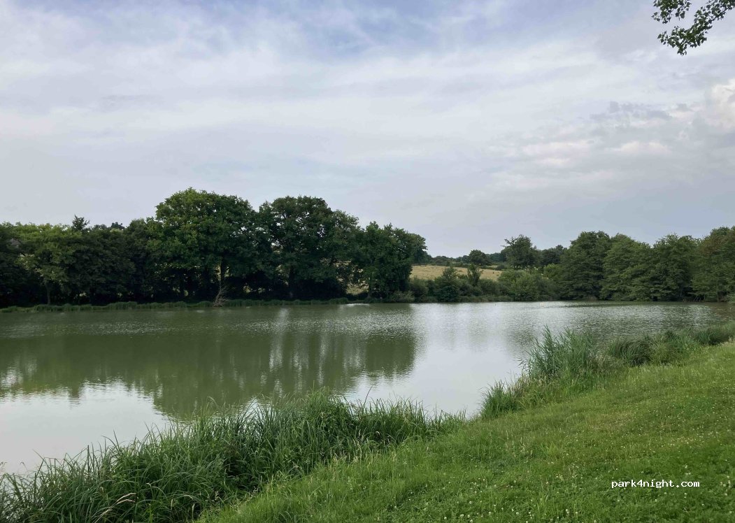 (58310) Dampierre-Sous-Bouhy - 257 Le Bois Foutrier — foto 5