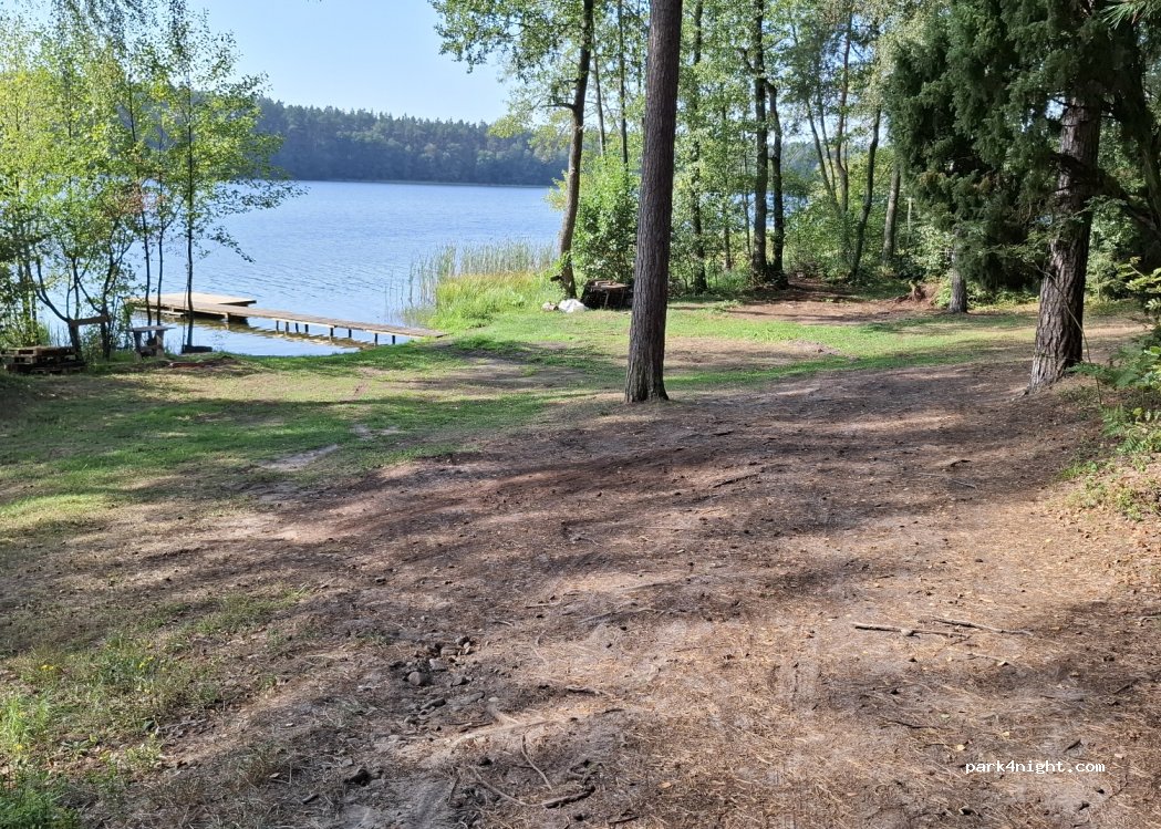 Nadleśnictwo Niedźwiady — foto 2