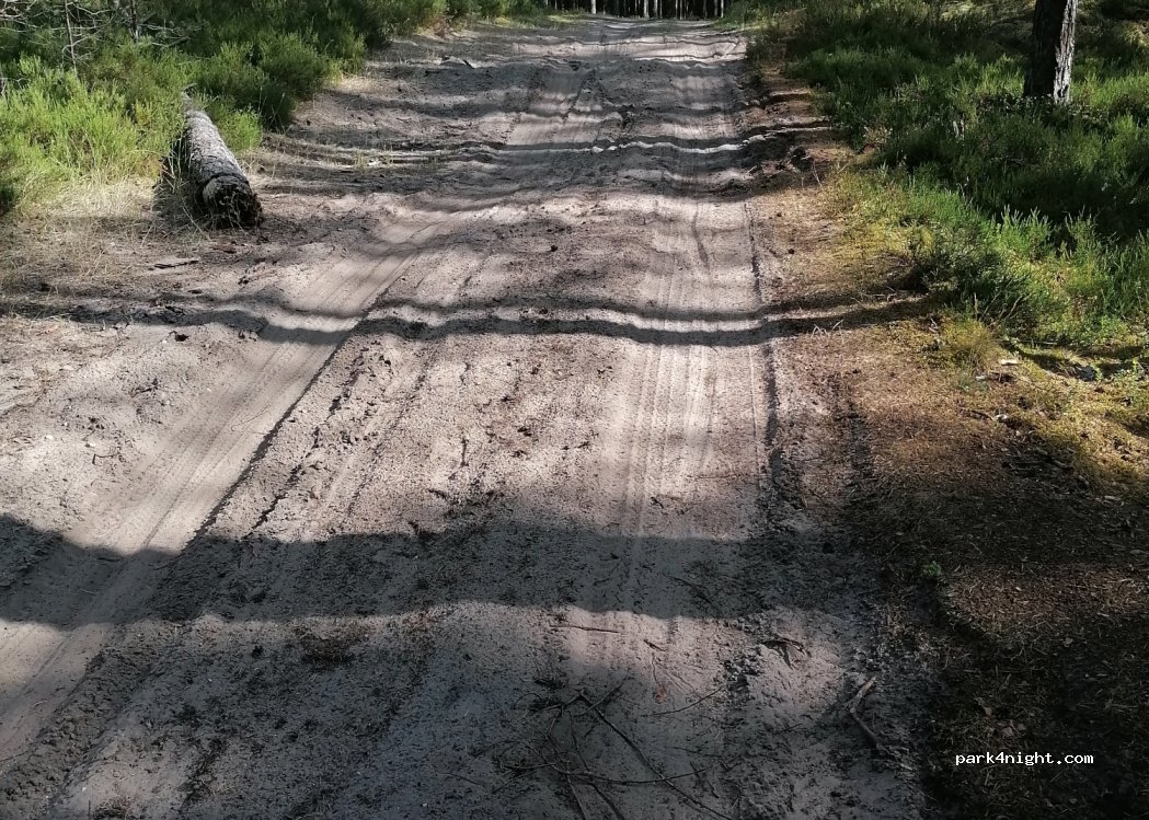 (3477) Ceplenieki - Unnamed Road — foto 2