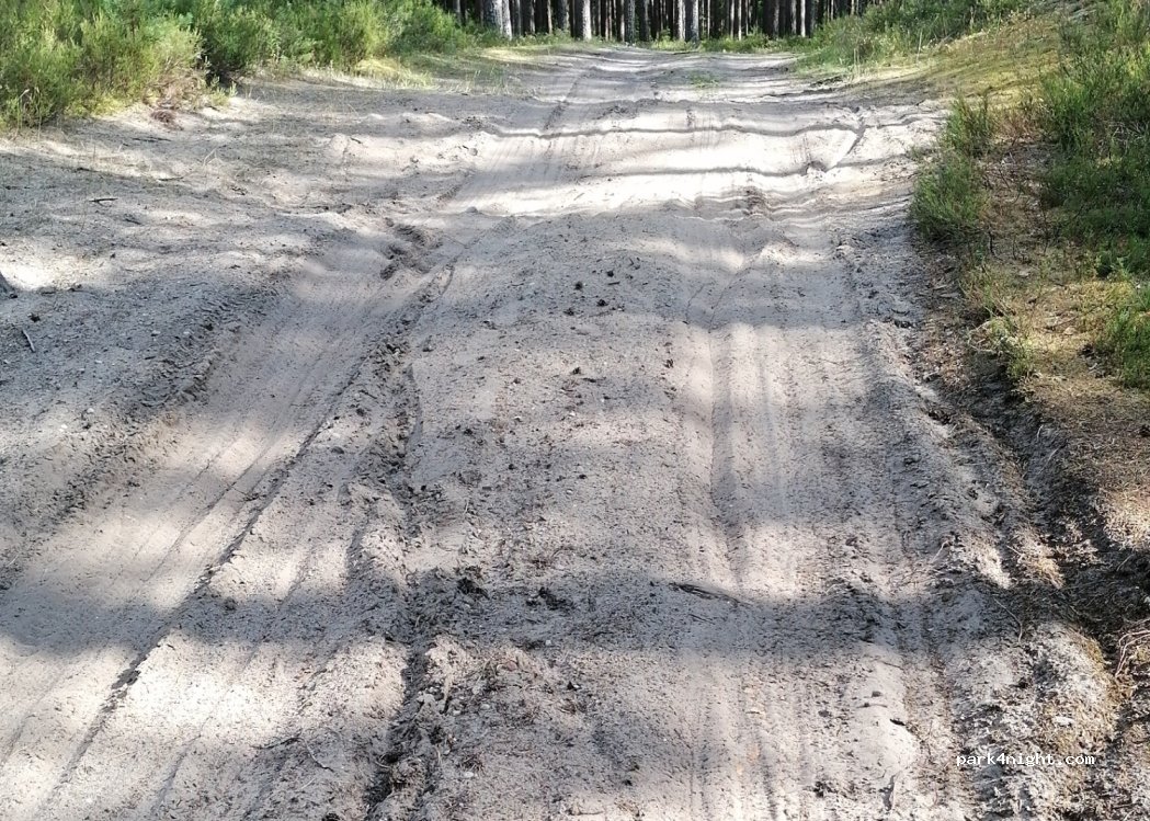 (3477) Ceplenieki - Unnamed Road — foto 3
