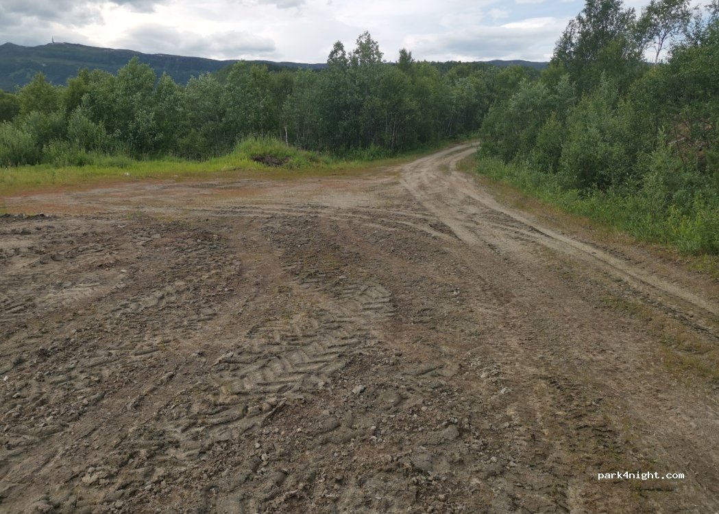 (8540) Bjørkåsen - — foto