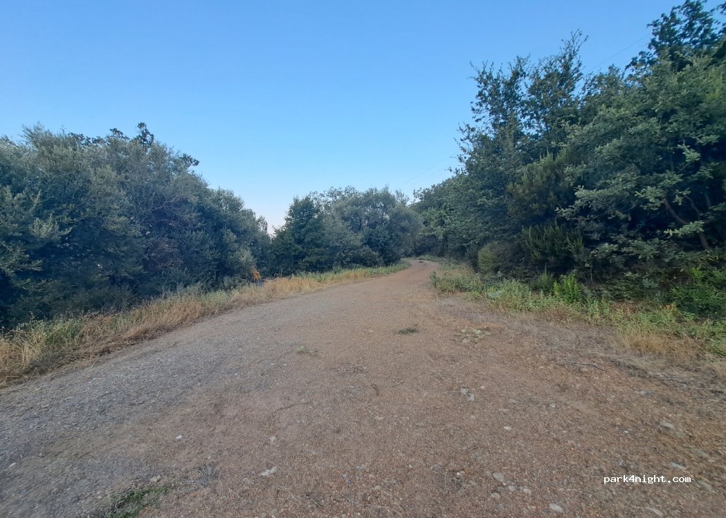 (230 54) Paleopanagia - — foto
