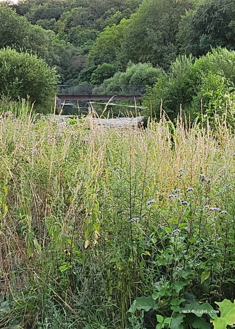 (54260) Saint-Jean-lès-Longuyon - — foto 2