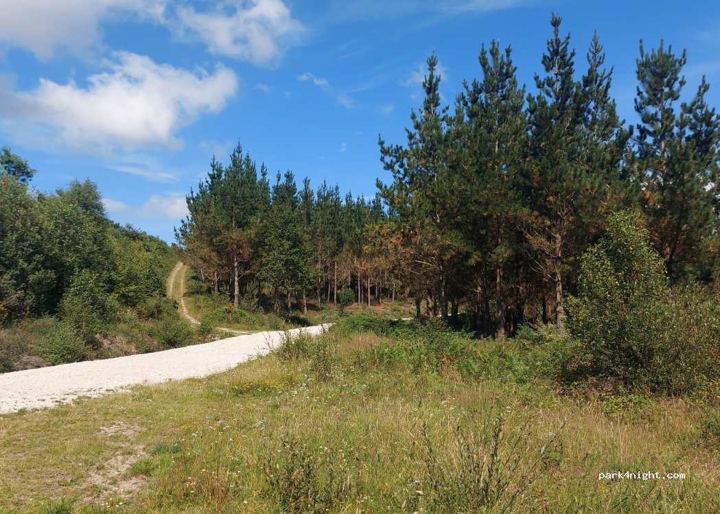 (15339) Capela de San Antón - Unnamed Road — foto