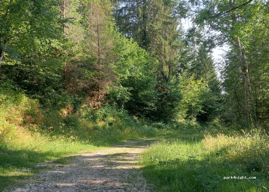 (01130) Saint-Germain-de-Joux - — foto