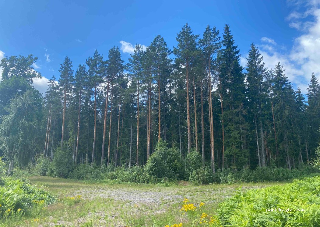 (364 30) Åseda - — foto