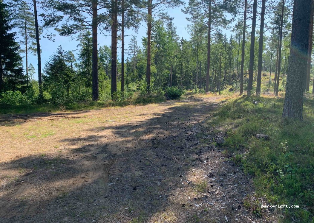 (870 31) Mjällom - — foto