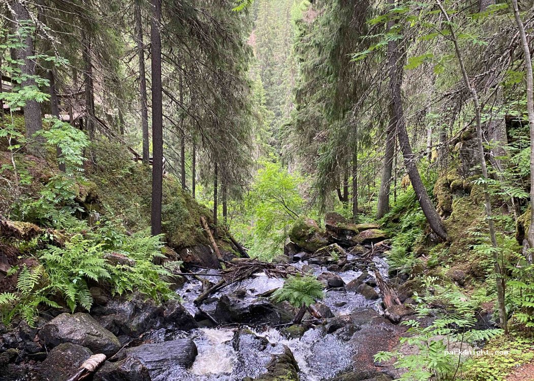 (71775) Kuopio - 107 Korkeakoskentie — foto 4