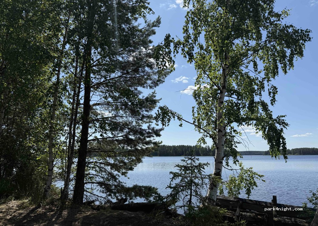 (44500) Viitasaari - 64 Vesannontie — foto 5