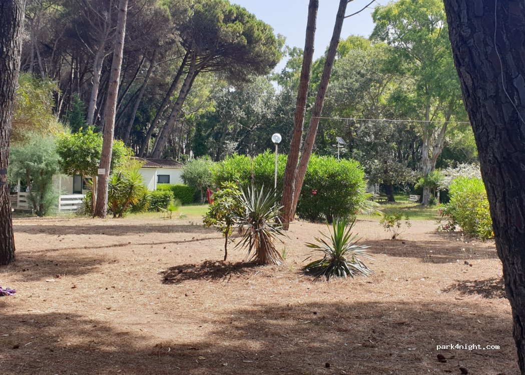 Villagio Campeggio Nettuno — foto 2