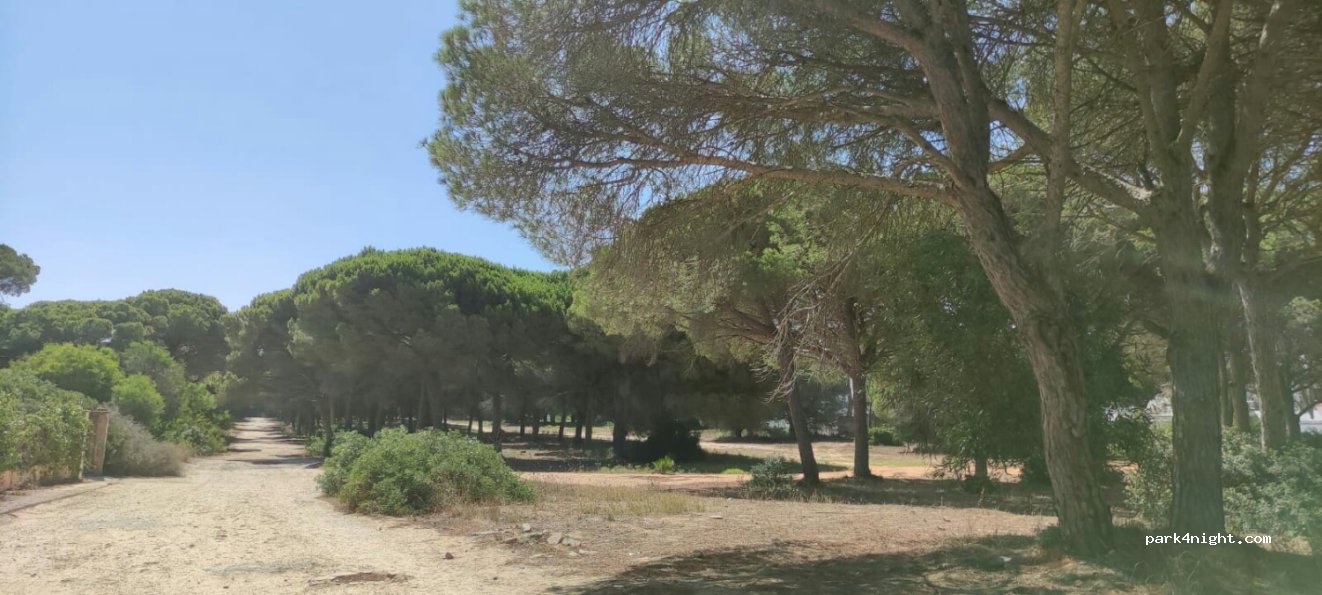 (11139) Chiclana de la Frontera - 4 Camino del Cocotero — foto 2