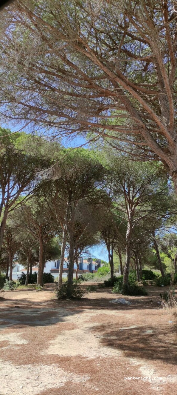 (11139) Chiclana de la Frontera - 4 Camino del Cocotero — foto 3