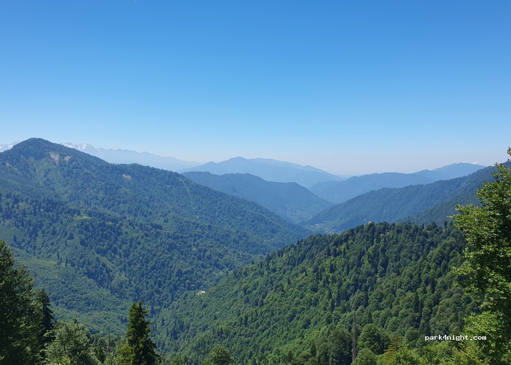 (08490) Atanoğlu - Borçka Camili Yolu — foto