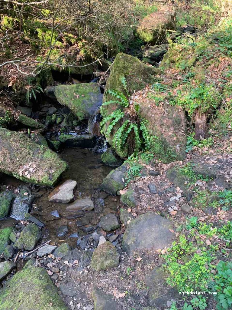 (S10 4QN) Sheffield - 20 Fulwood Lane — foto 2