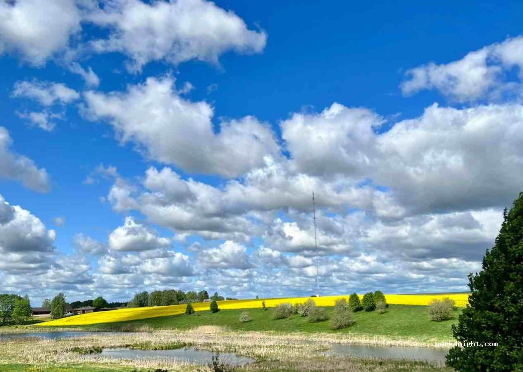 Võnnu Mahetalu (Võnnu Organic OÜ, Võnnu Oil OÜ, Võnnu Agro OÜ) — foto 3