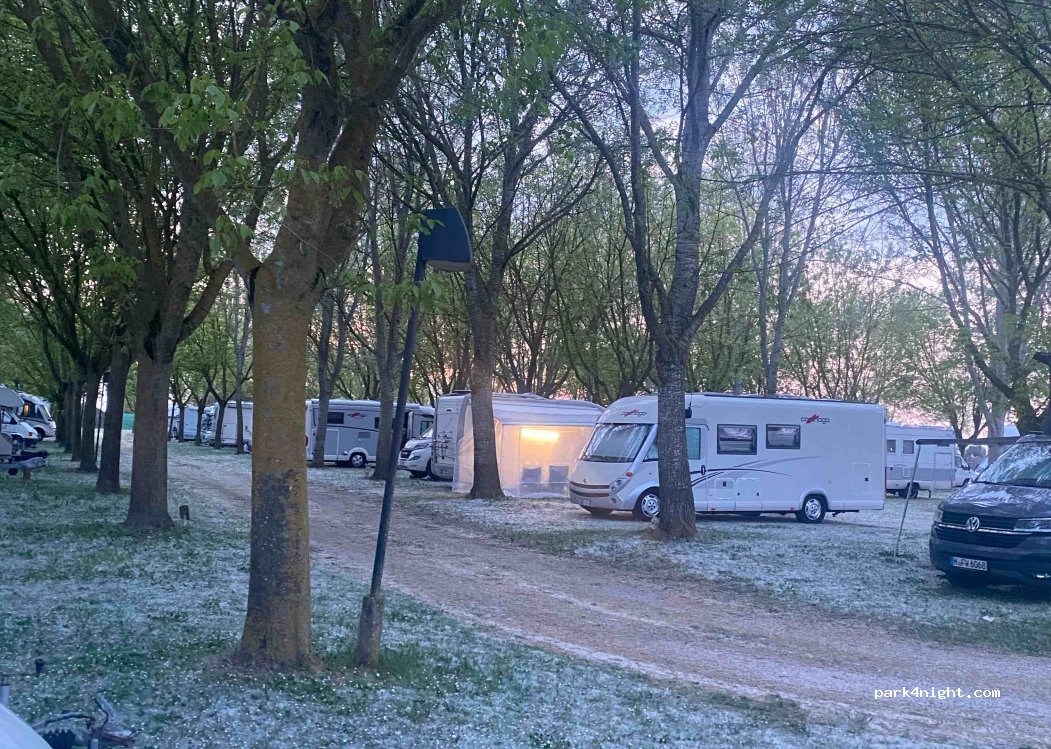 OASI PARK IL BOSCO DELLA MESOLA — foto 3