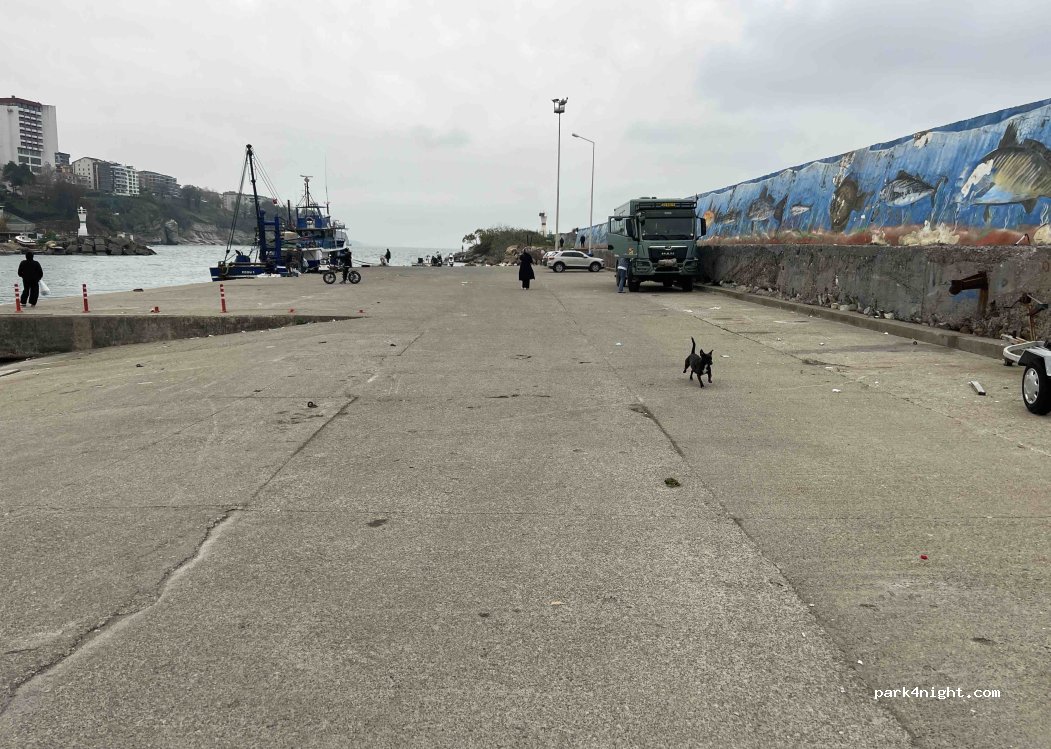 (81650) Akçakoca - NO: 6 İnönü Caddesi — foto 2