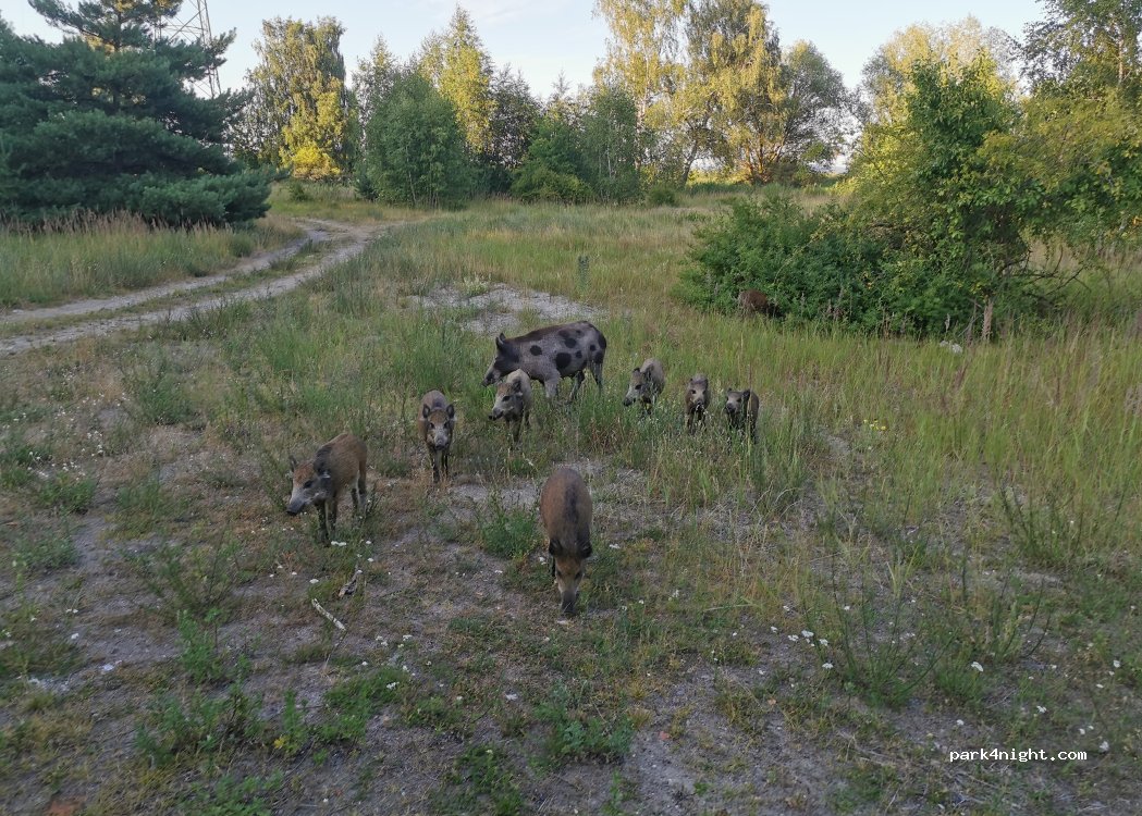 (72-603) Świnoujście - — foto 2