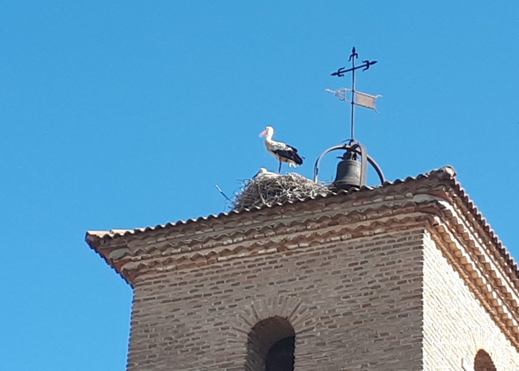 (47340) Sardón de Duero - 5 Calle Nevera — foto 2