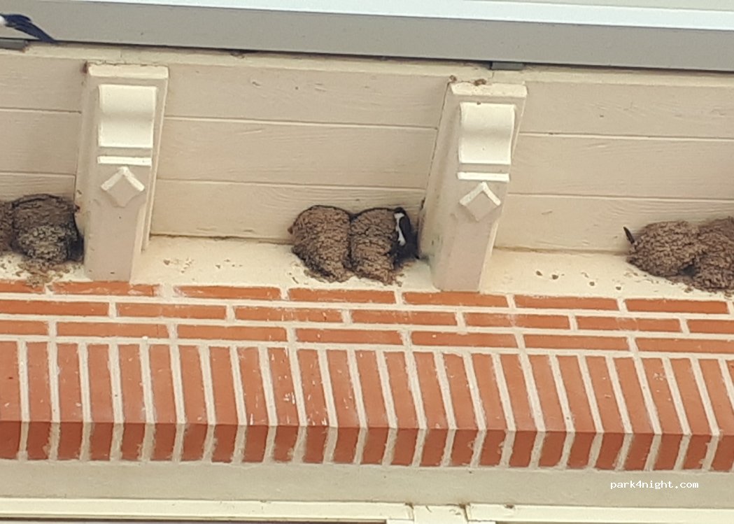 (47340) Sardón de Duero - 5 Calle Nevera — foto 3