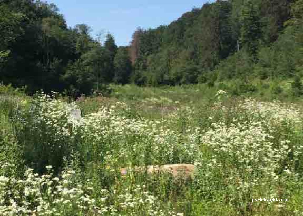 (39260) Moirans-en-Montagne - — foto