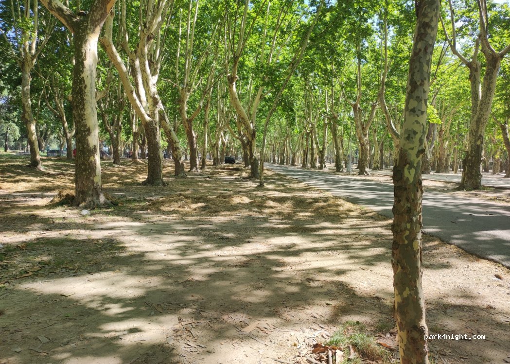 (30300) Beaucaire - 2 Allée du Casino — foto 4