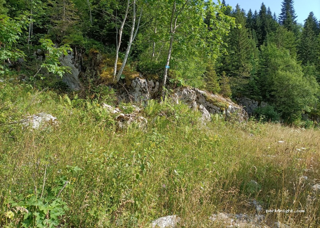 (38380) Saint-Pierre-de-Chartreuse - Unnamed Road — foto 3