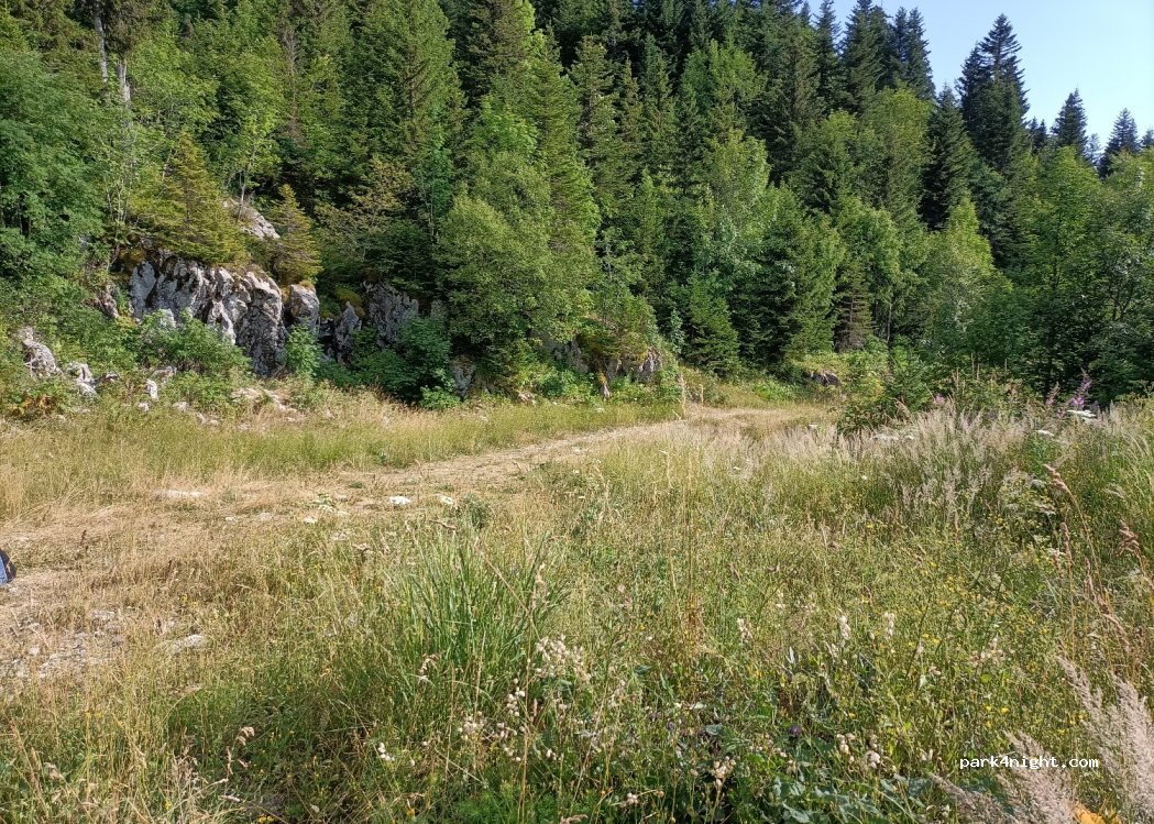 (38380) Saint-Pierre-de-Chartreuse - Unnamed Road — foto 4