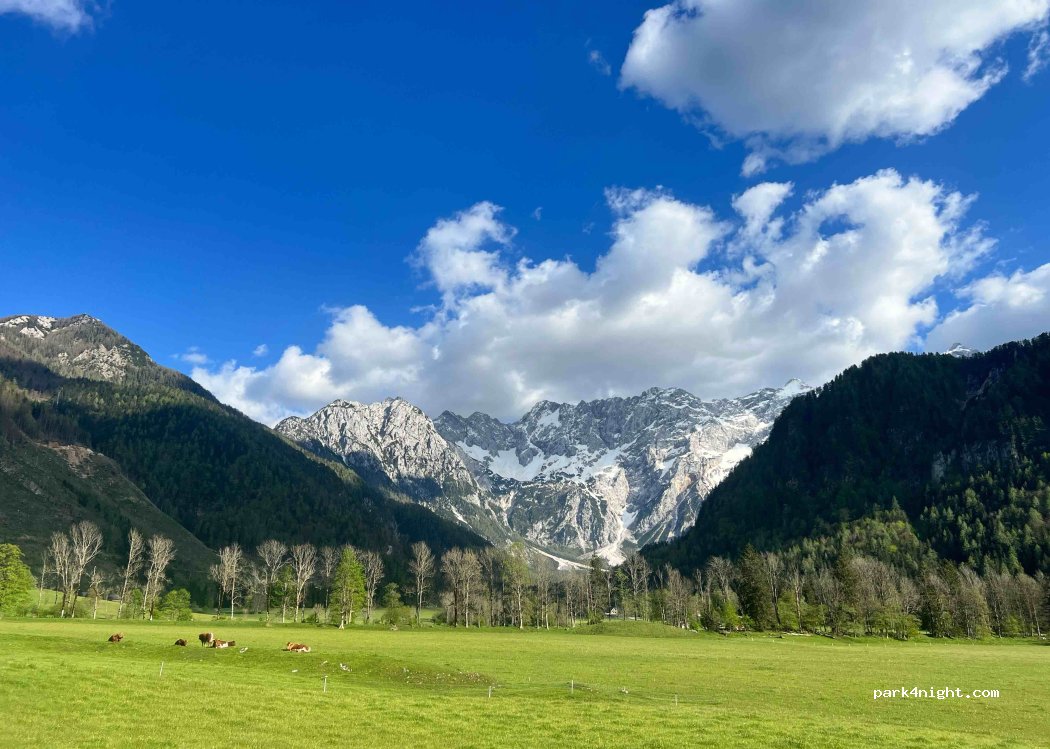 camp Šenkova — foto 4