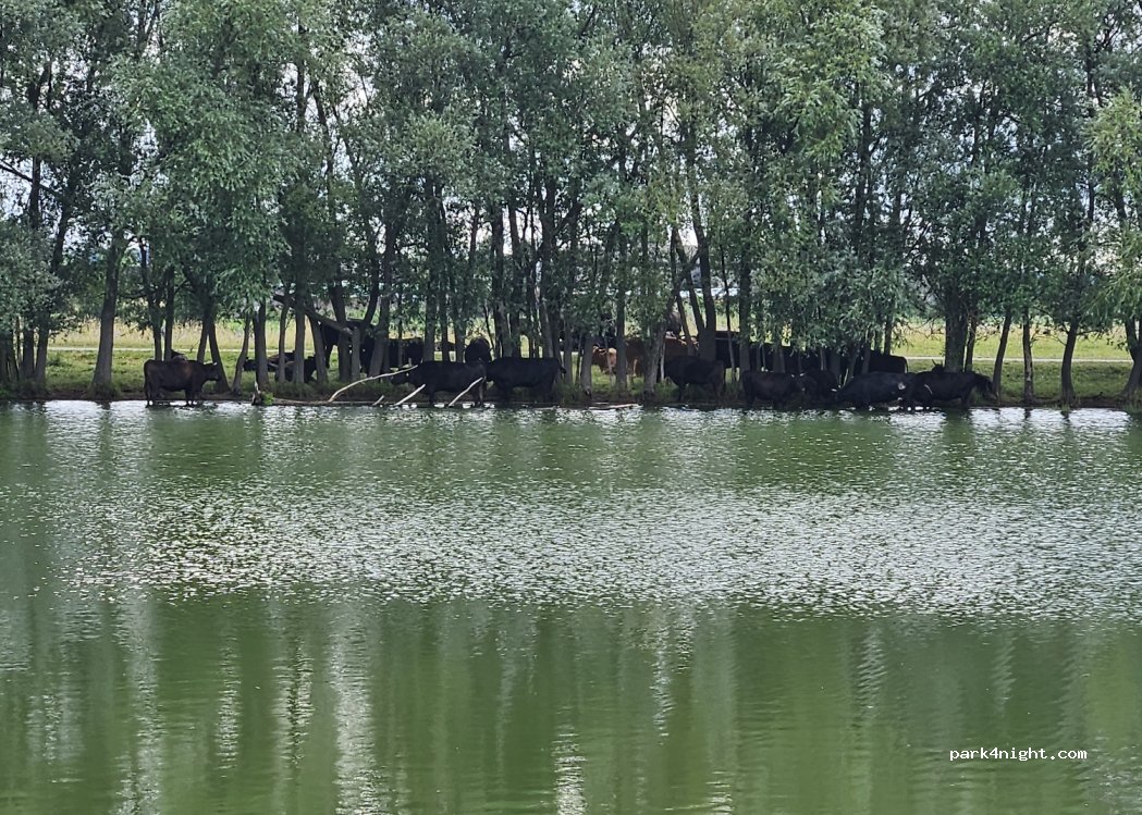 (16727) Oberkrämer - 37A Mühlenweg — foto 2