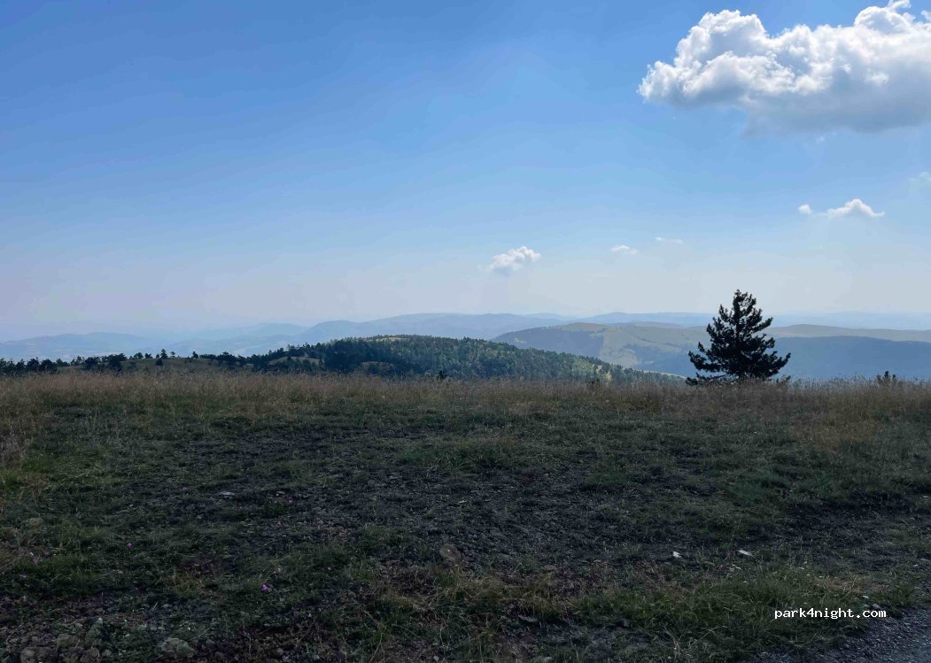 (253523) Tometino Polje - — foto 2