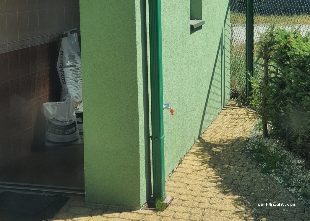 (36-122) Dzikowiec - 875 — foto
