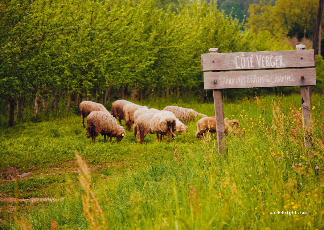 Côté Verger — foto
