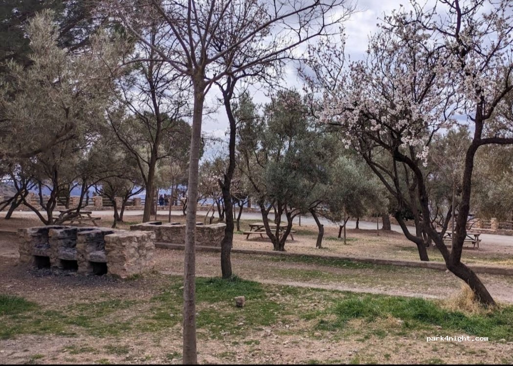 (18657) Nigüelas - 4 Las Flores — foto
