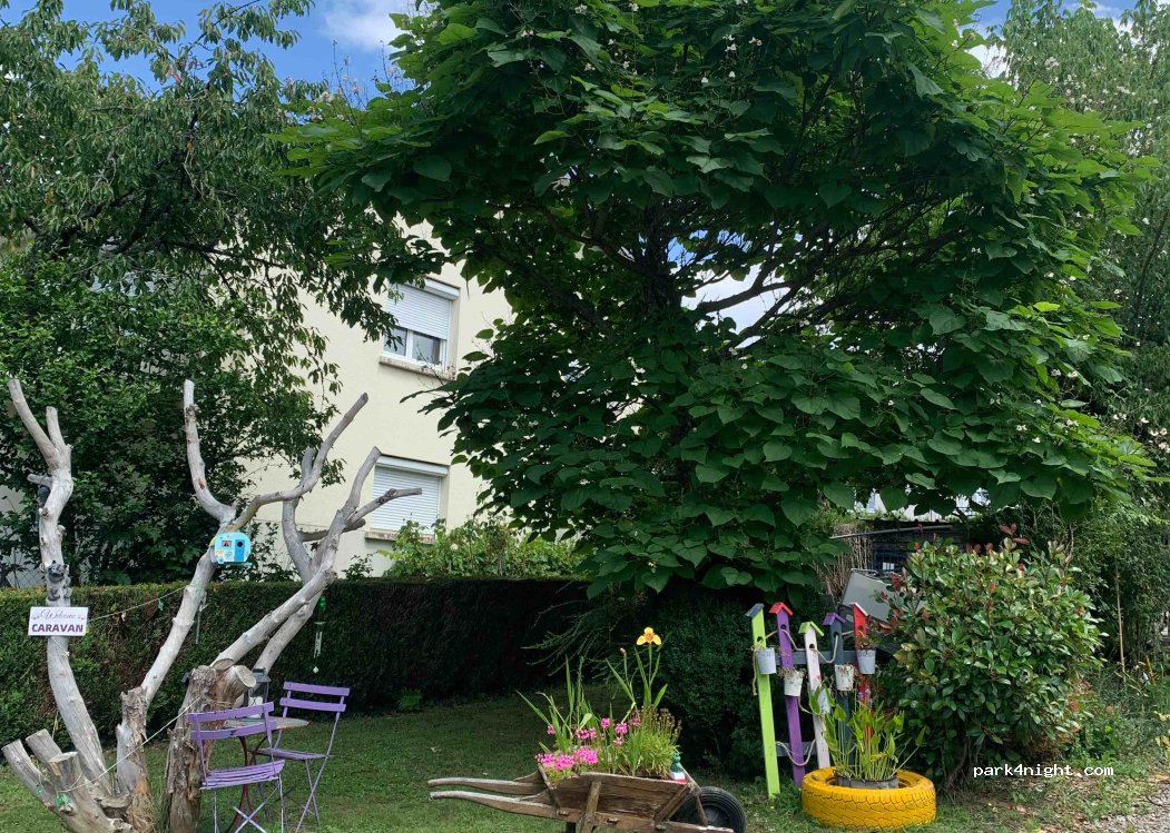 (87270) Couzeix - 29 Rue Benoist du Buis — foto 4