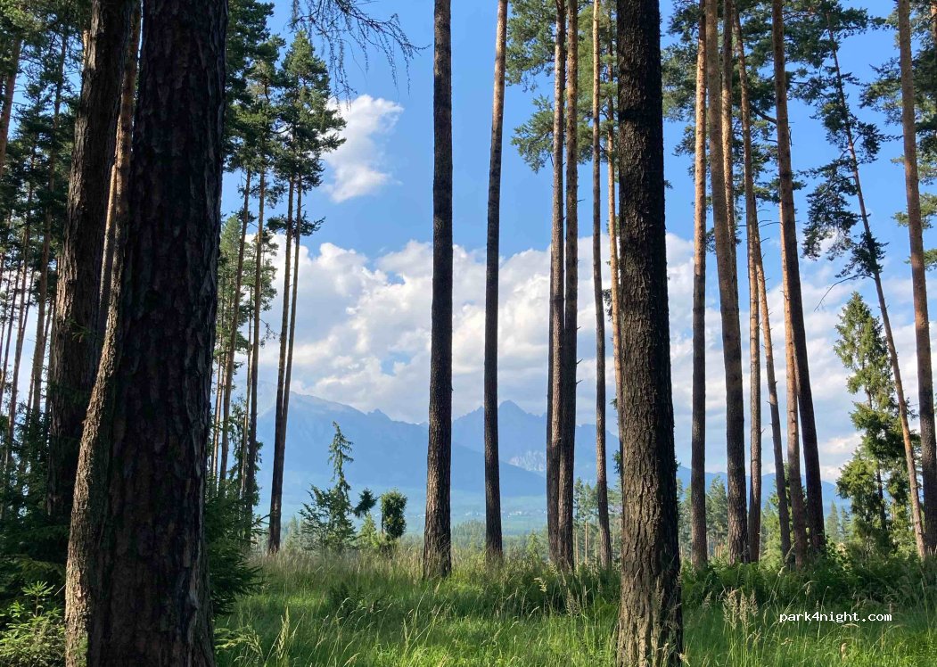 () Poprad - — foto 2