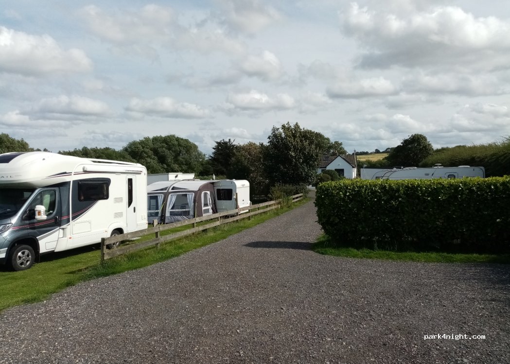 Springfield Kennels, Cattery & Campsite Hunmanby — foto
